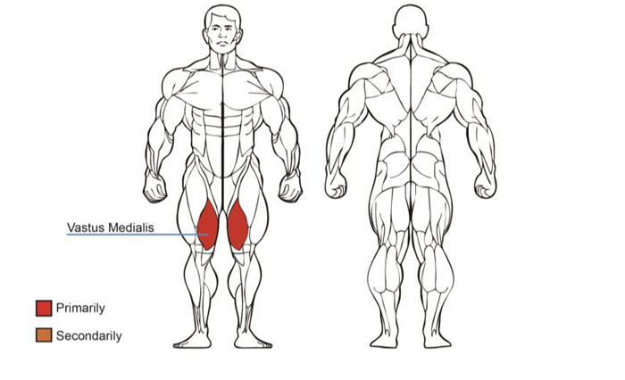 大腿內展訓練器