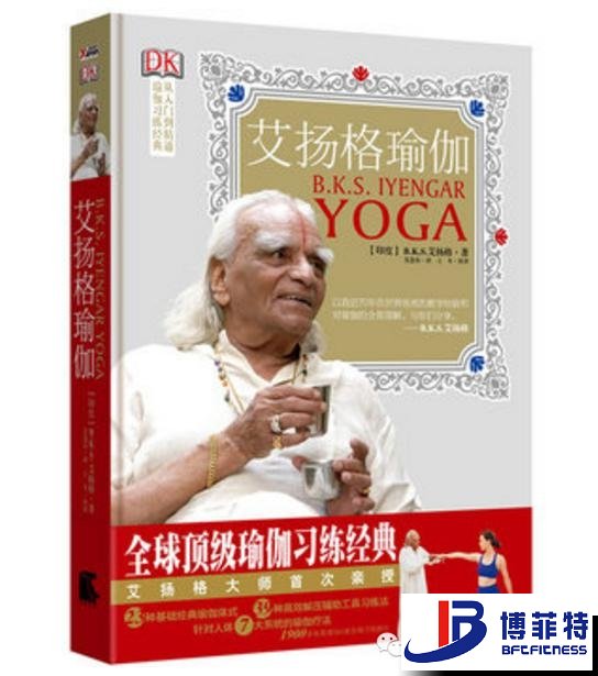 艾揚格瑜伽:精準習練指南